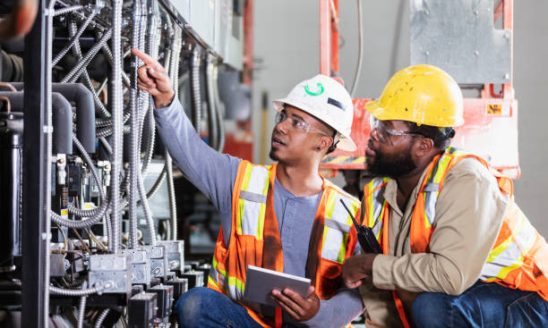 Best Generator Installation Services  in Stewartville, MN