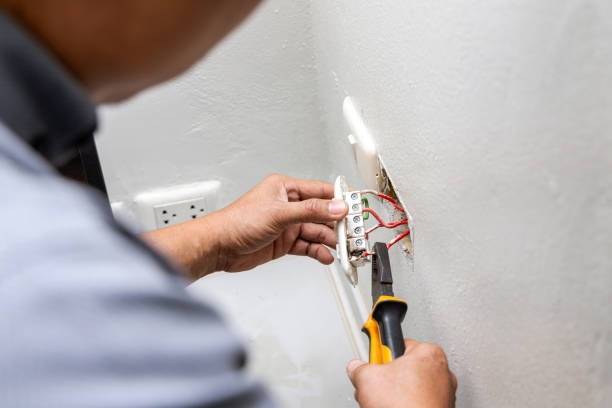 Best Affordable Electrician  in Stewartville, MN