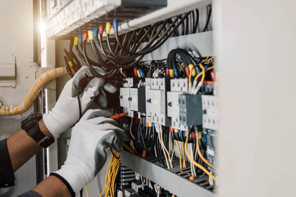Best Electric Panel Repair  in Stewartville, MN